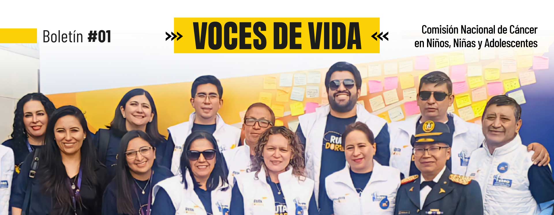 Descarga el boletín trimestral de la Comisión Nacional de Cáncer en Niños, Niñas y Adolescentes 