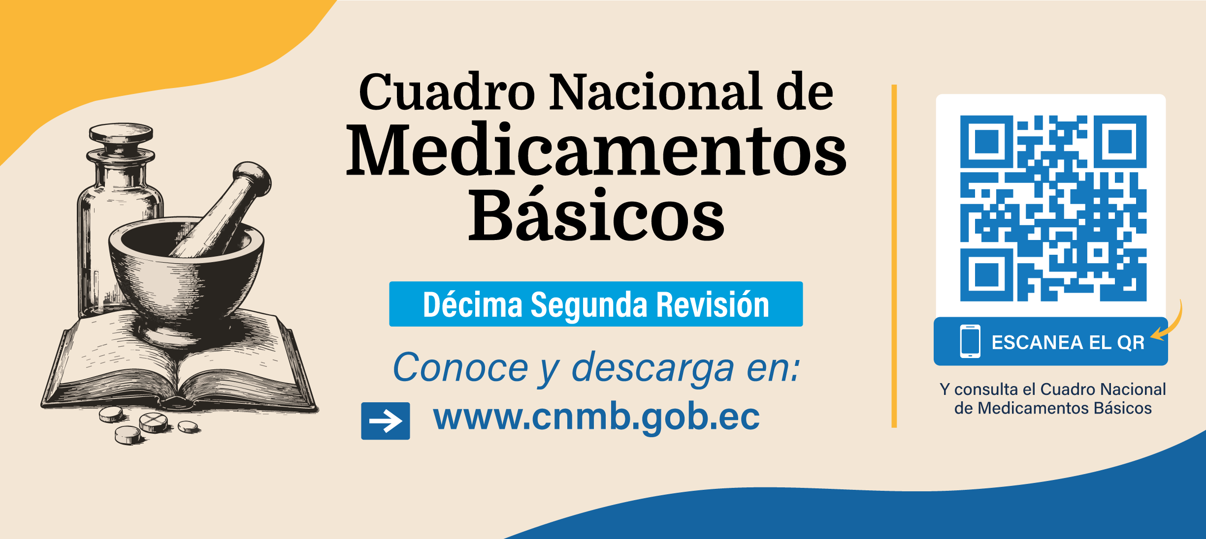 Cuadro Nacional de Medicamentos Básicos - 12.ª Revisión